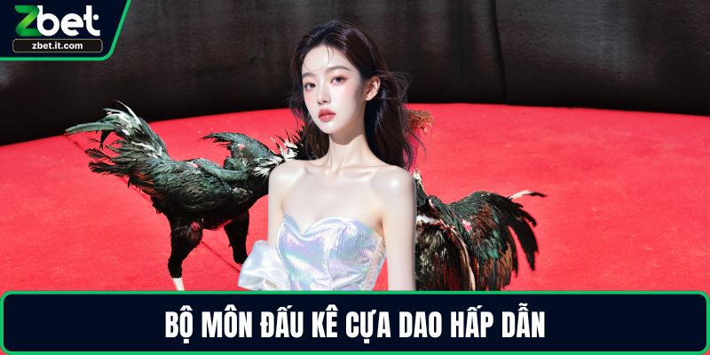 Bộ môn đấu kê cựa dao hấp dẫn