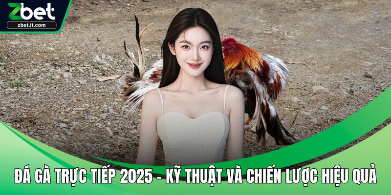 Đá gà trực tiếp