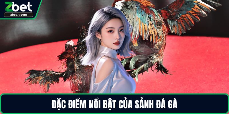 Đặc điểm nổi bật của sảnh đá gà