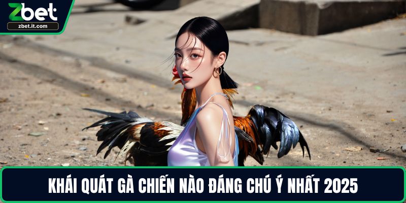 Khái quát gà chiến nào đáng chú ý nhất 2025
