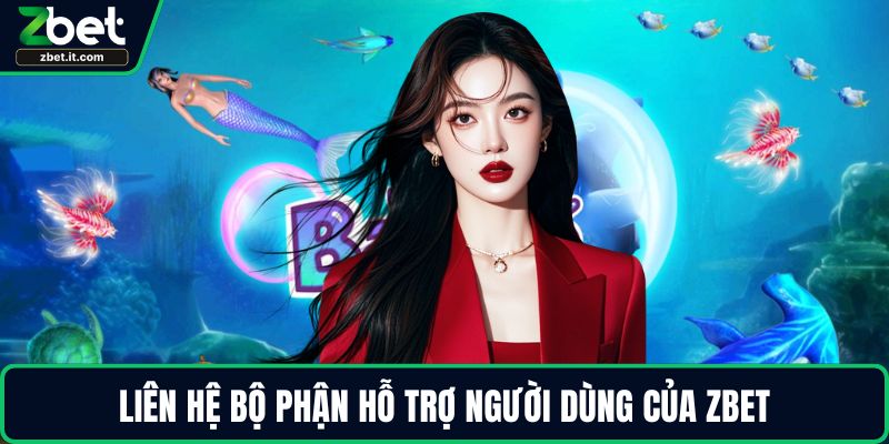 Liên hệ bộ phận hỗ trợ người dùng của ZBET