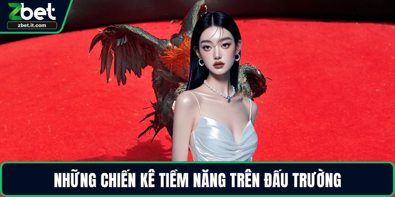 Những chiến kê tiềm năng trên đấu trường