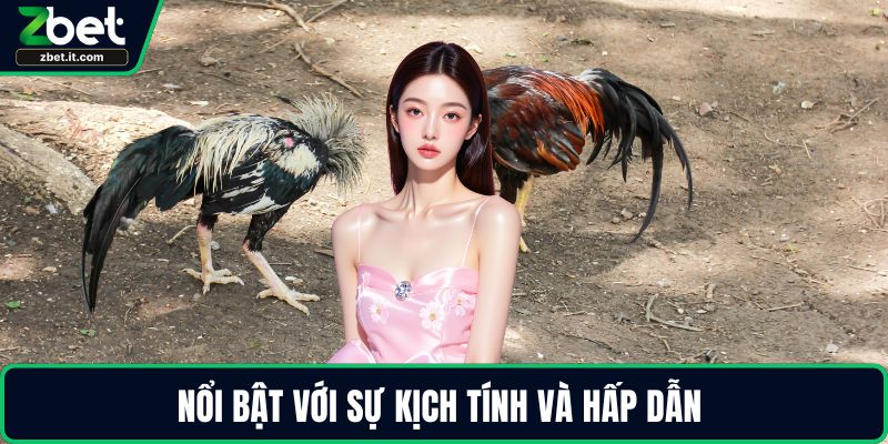 Nổi bật với sự kịch tính và hấp dẫn 