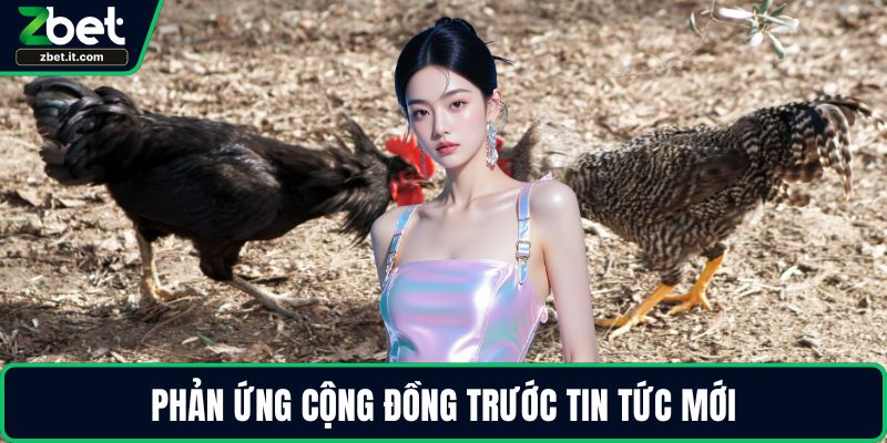 Phản ứng cộng đồng trước tin tức mới