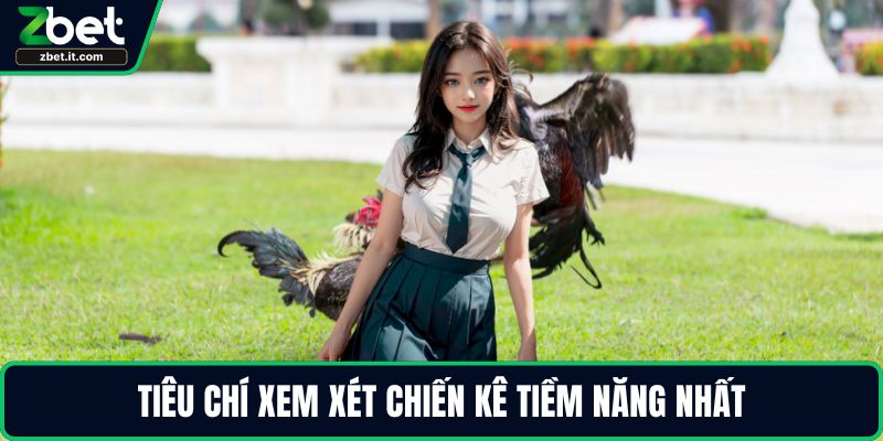 Tiêu chí xem xét chiến kê tiềm năng nhất