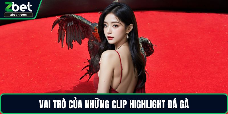 Vai trò của những clip highlight đá gà